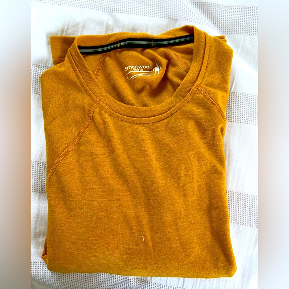 SMART WOOL MERINO 250 BASE LAYER from REI